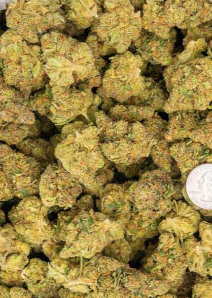 bulk distro exotic discount thca hemp exotic flower buy lbs online fast shipping cheap wholesale online discount price 