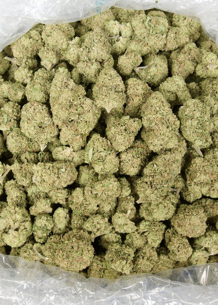 Amaretto Sour 29% Thca