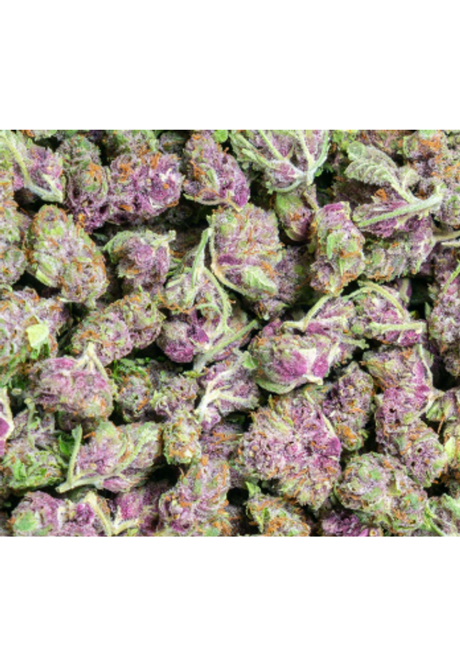 Blueberry Haze Smalls 31%