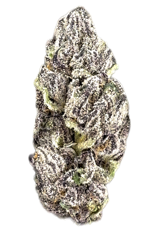 Bacio Gelato 36% Thca Bulk