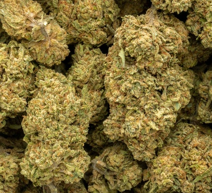 Banana OG 33% Bulk