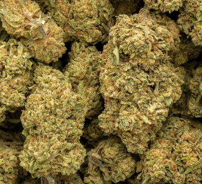 Banana OG 33% Bulk