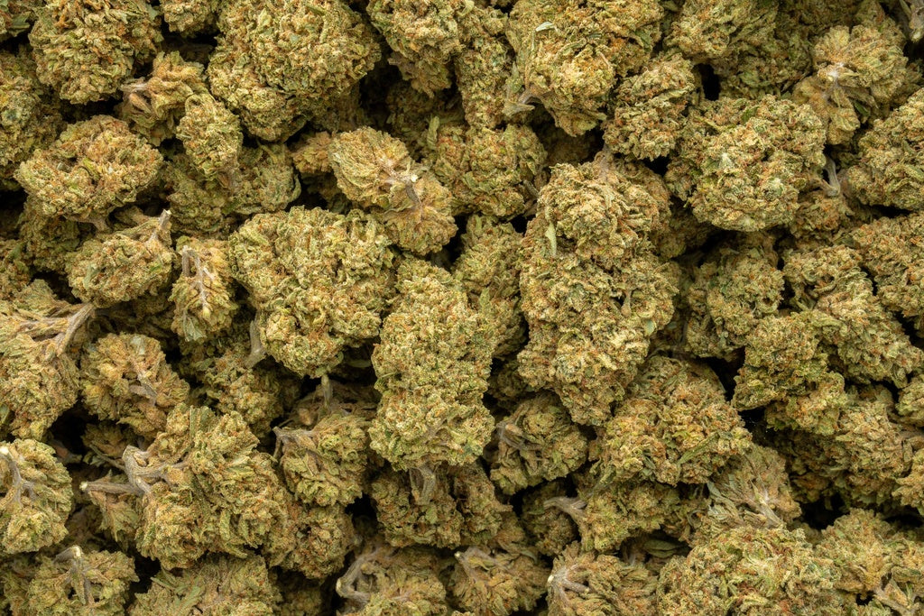 Banana OG 33% Bulk