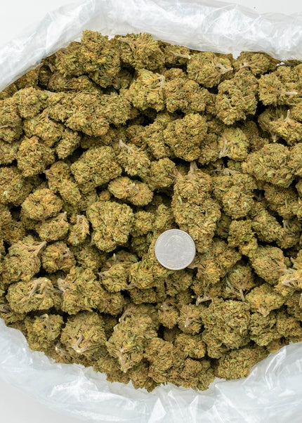 Banana OG 33% Bulk