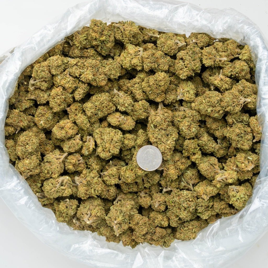 Banana OG 33% Bulk