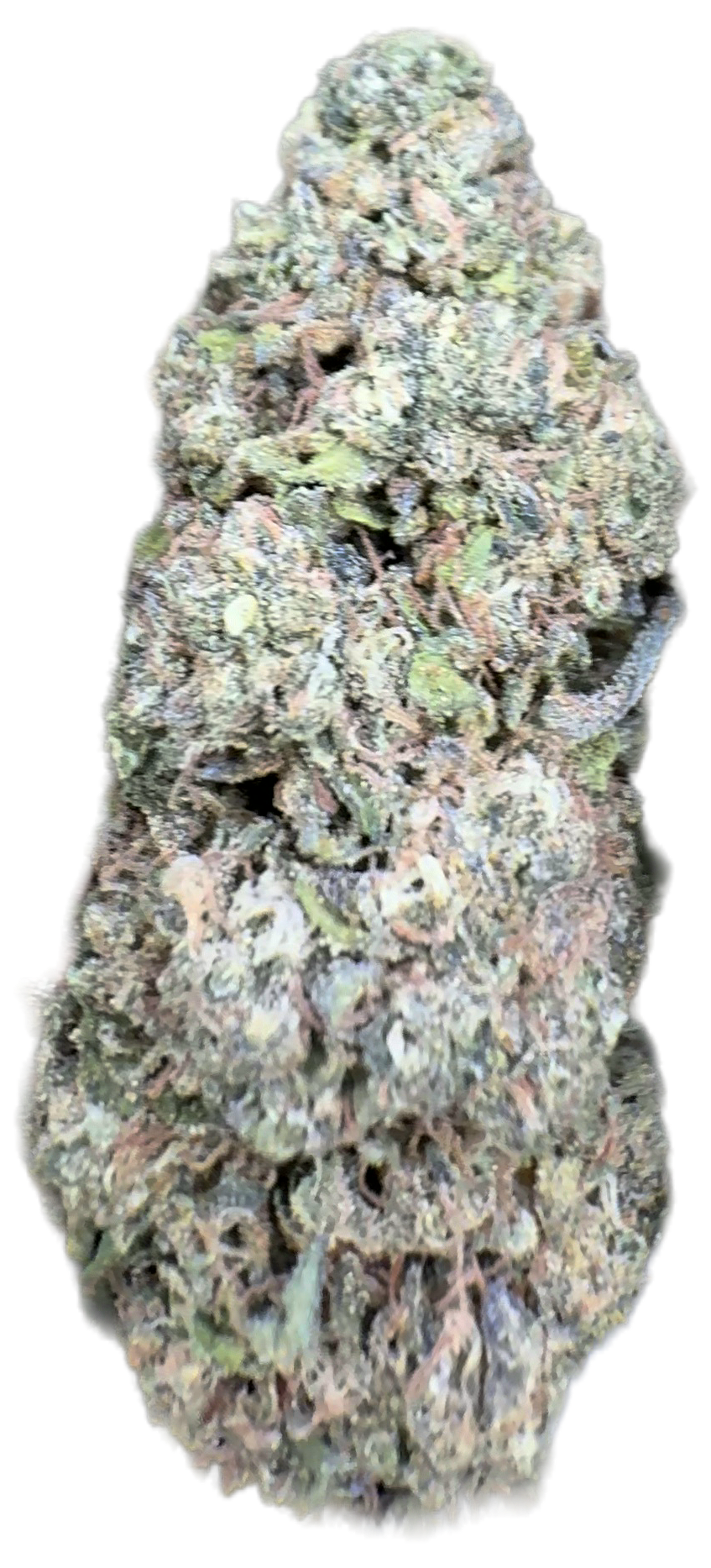 Blue Dream 32%  Thca