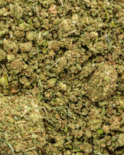 Collection image for: TRIM SHAKE