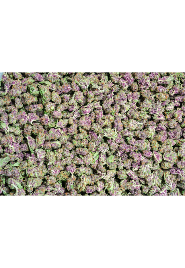 Blueberry Haze Smalls 31%