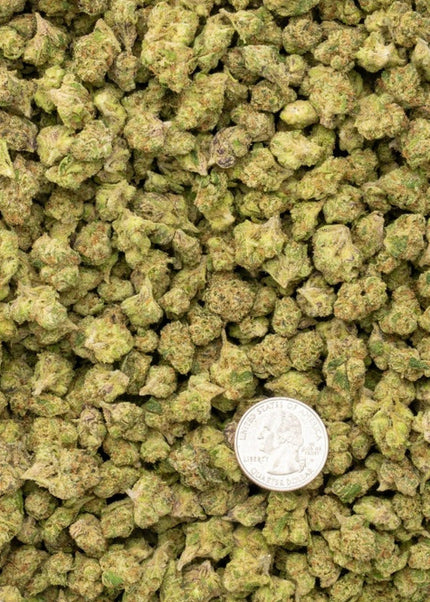 Candy Glue 33% Bulk