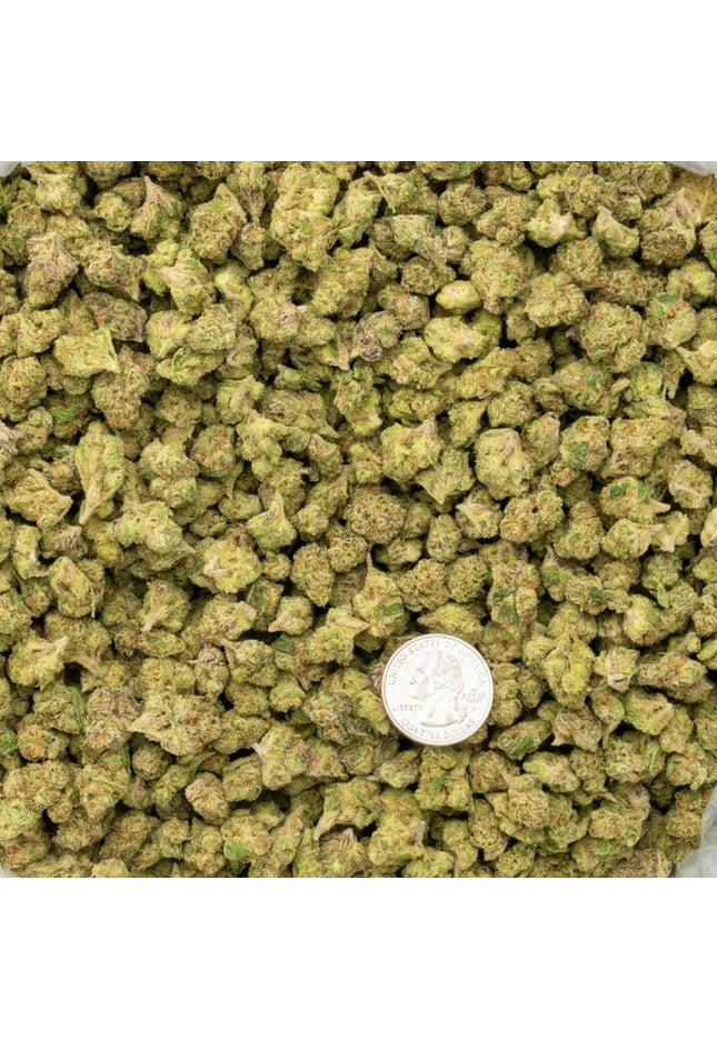 Candy Glue 33% Bulk