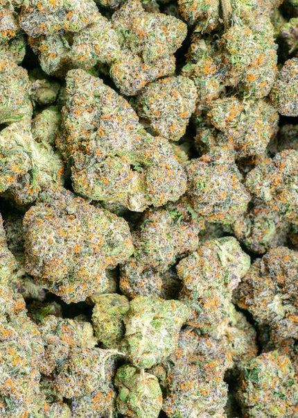 Candy Paint 33% THCa BULK