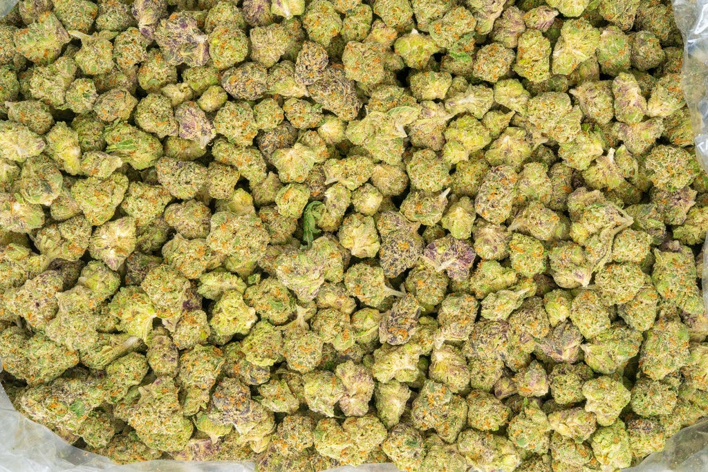 best strain orange highlights , nice trim mixed bud size discount lbs