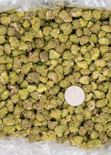 exotic strain orange highlights , nice trim small bud size cheap lbs