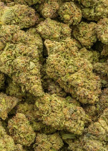 Dolce Gelato 33% Bulk