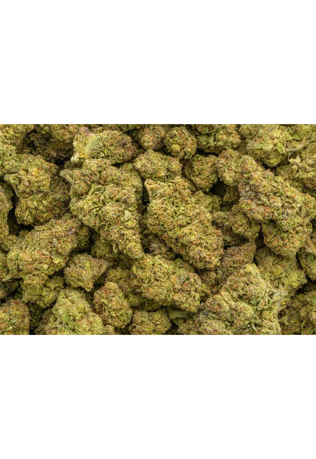 Dolce Gelato 33% Bulk