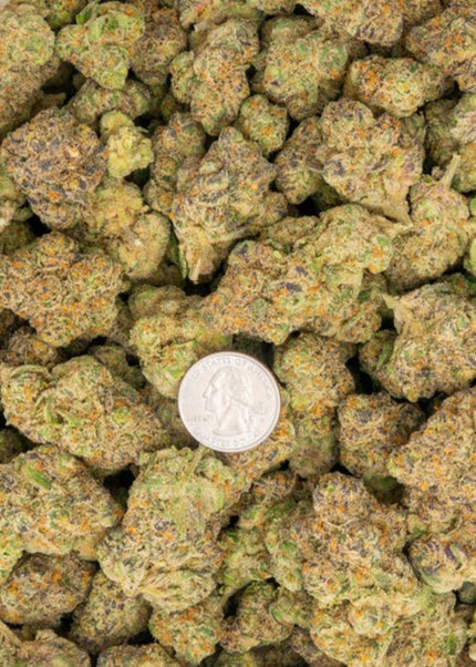 Large buds flower discount cheap thca hemp online