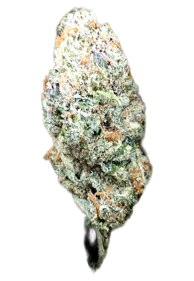 Elektra 34 % Thca Bulk