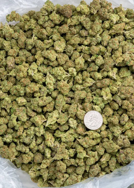 Facewreck 31% Thca Smalls