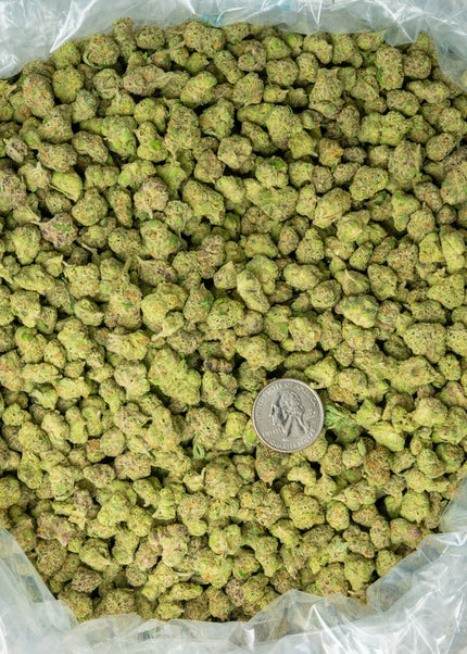 Forbidden Runtz Smalls 34% Thca Bulk