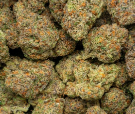 Georgia Pop Pie 34% THCa