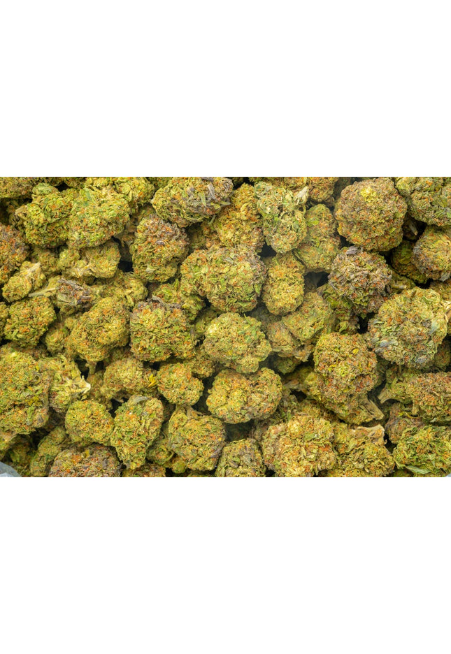 buy cheap pounds online fast shipping bulk wholesale discount price online