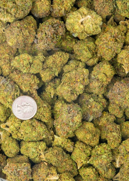 Buy cheap hemp pounds online fast shipping cheap bulk wholesale discount price online