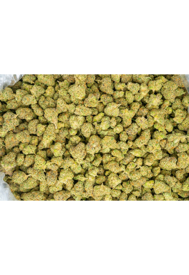 best exotic distro discount thca hemp buy pounds online fast shipping cheap discount bulk wholesale price online 
