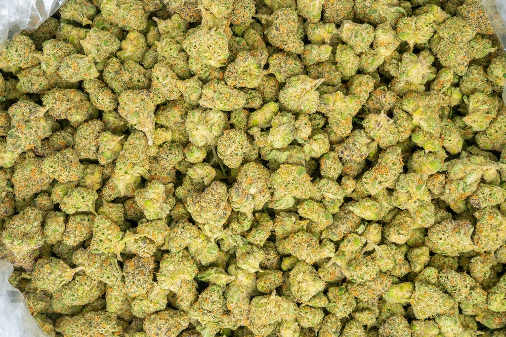 best exotic distro discount thca hemp buy pounds online fast shipping cheap discount bulk wholesale price online 