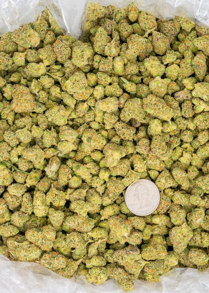 best exotic distro discount thca hemp buy pounds online fast shipping cheap discount bulk wholesale price online 