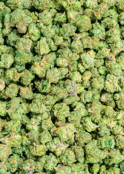 Gelato #33 Smalls 31%