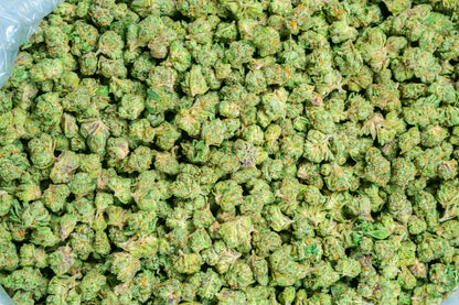 Gelato #33 Smalls 31%