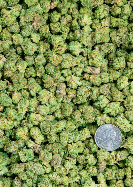 Gelato #33 Smalls 31%