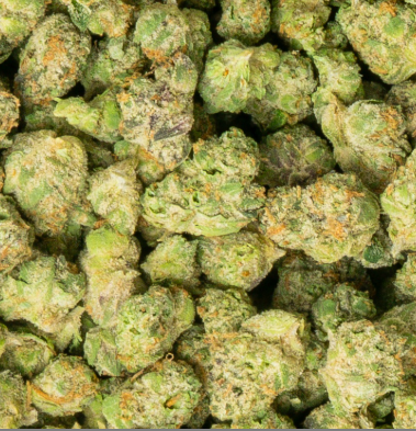 distro strain gelato purple & orange color, small bud size discount pounds high thca online