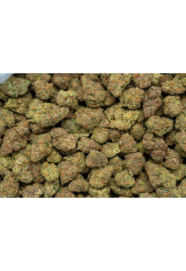 Georgia Pop Pie 34% THCa