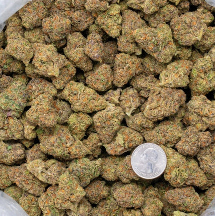 Georgia Pop Pie 34% THCa