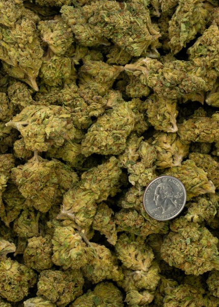 Goji Og 33% Bulk