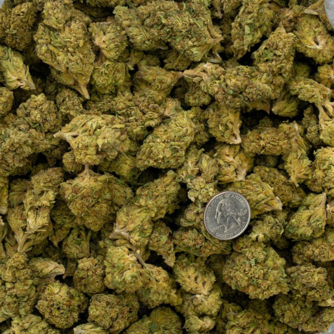 Goji Og 33% Bulk