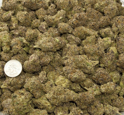 Online fast shipping grape candy exotic flower discounted quality, purple color with trichomes 