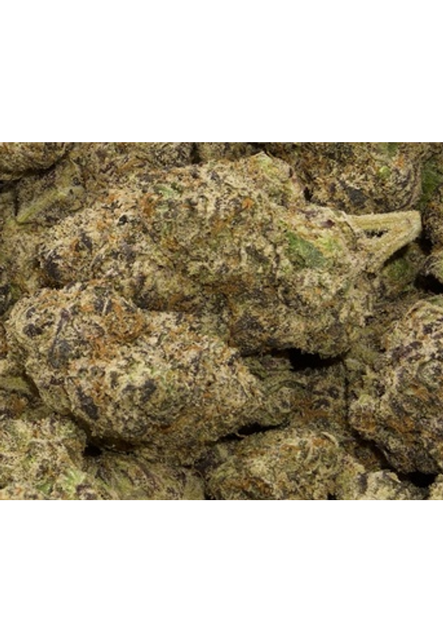Best deal exotic thca online, up close dense purple bud with crystals and very strong nose