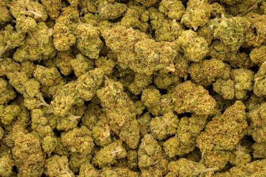 Hells Angel Og 34% Thca
