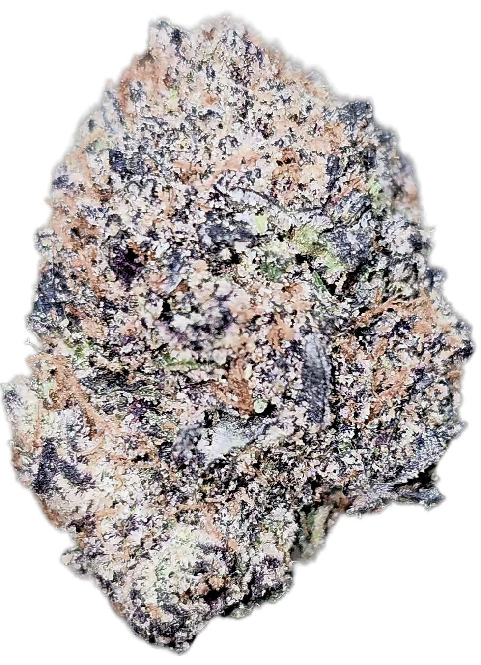 Black Domina 35% THCA