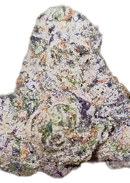 Northern Lights 33% Mediums Bulk