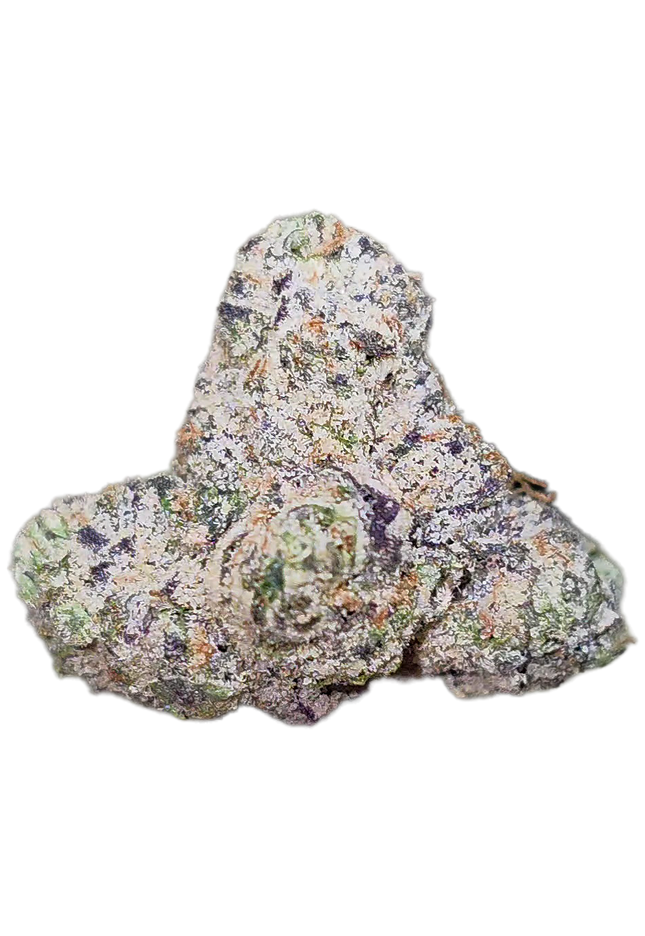 Northern Lights 33% Mediums Bulk