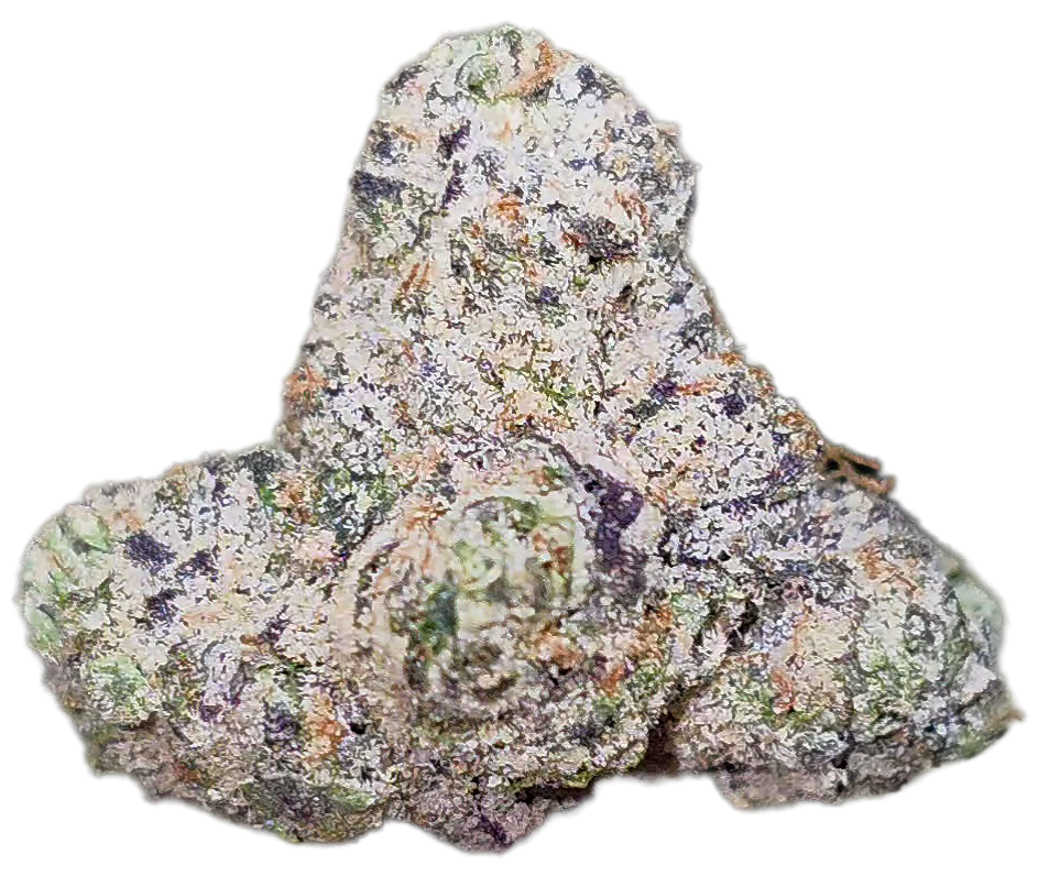 Northern Lights 33% Mediums Bulk