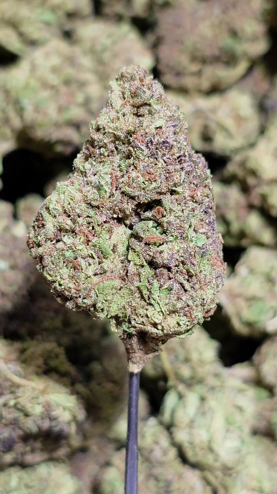 Grandaddy Trainwreck 33% THCA