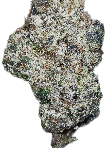 Pure Kush 36% Thca Bulk