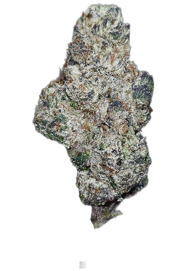 Pure Kush 36% Thca Bulk