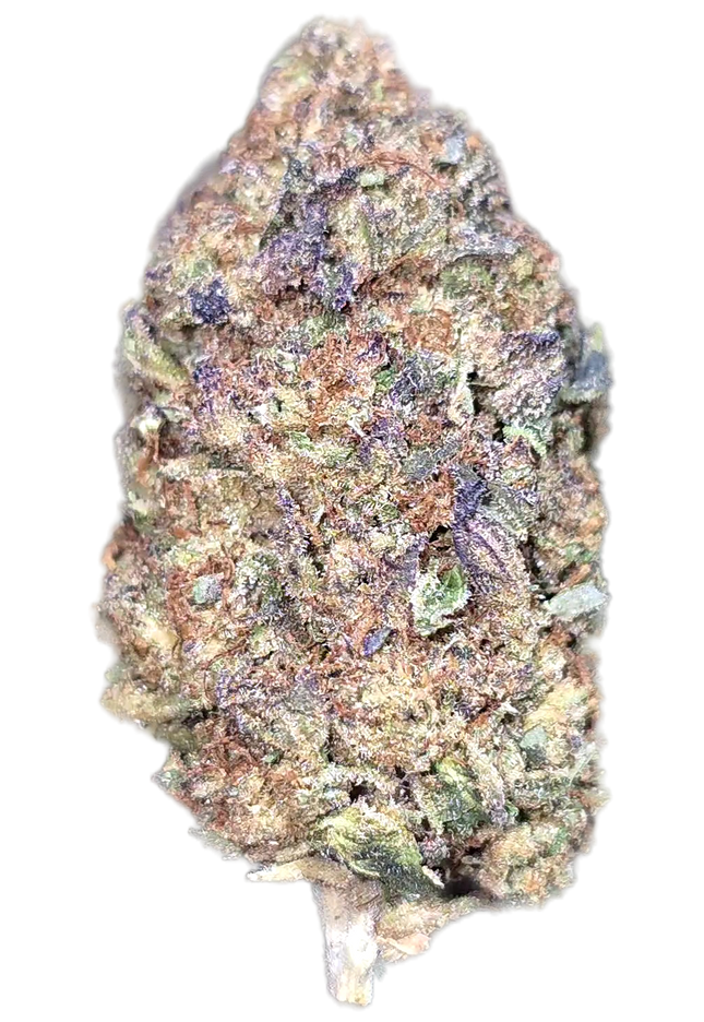 Purple Punch 32% THCa Bulk