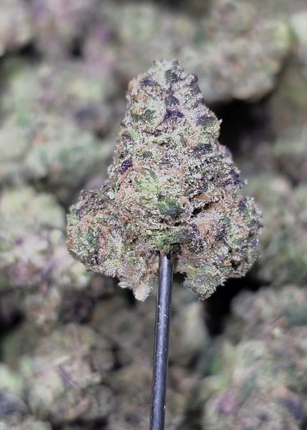 Purple Punch Med/SM 35% THCa Bulk