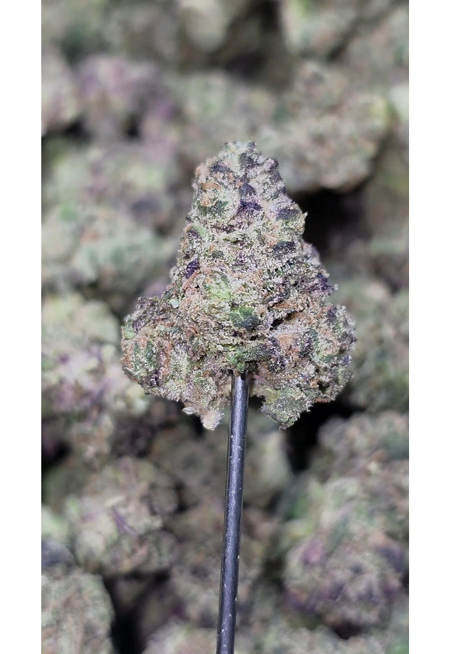 Purple Punch Med/SM 35% THCa Bulk